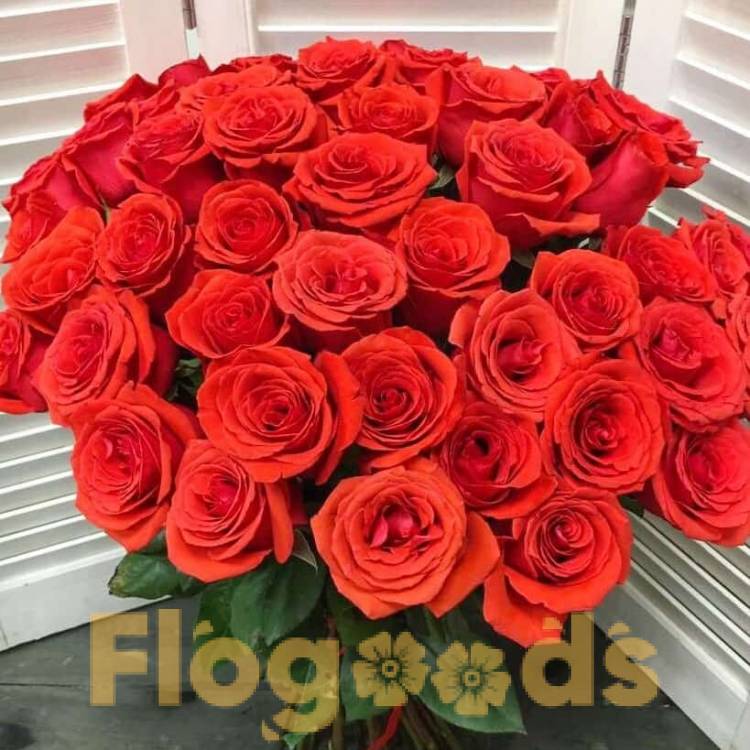 51 красная роза за 19 543 руб.